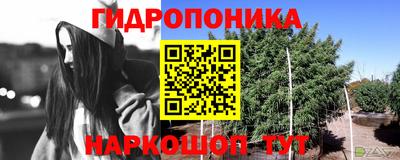 винт Балахна