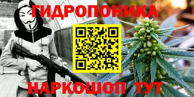 винт Балахна