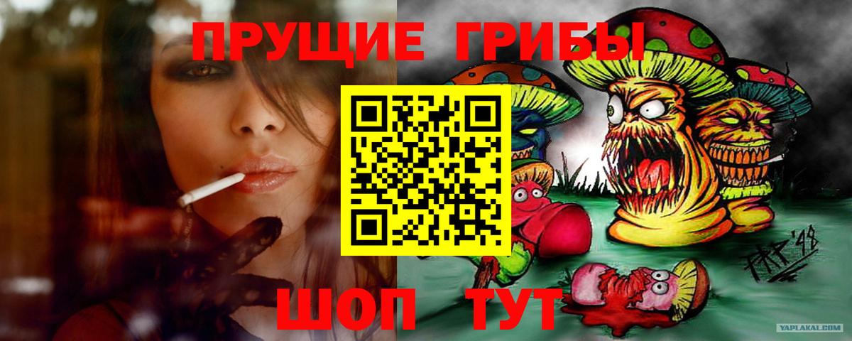 Асино  Псилоцибиновые грибы мухоморы  Галлюциногенные грибы прущие грибы  Вход с VPN 